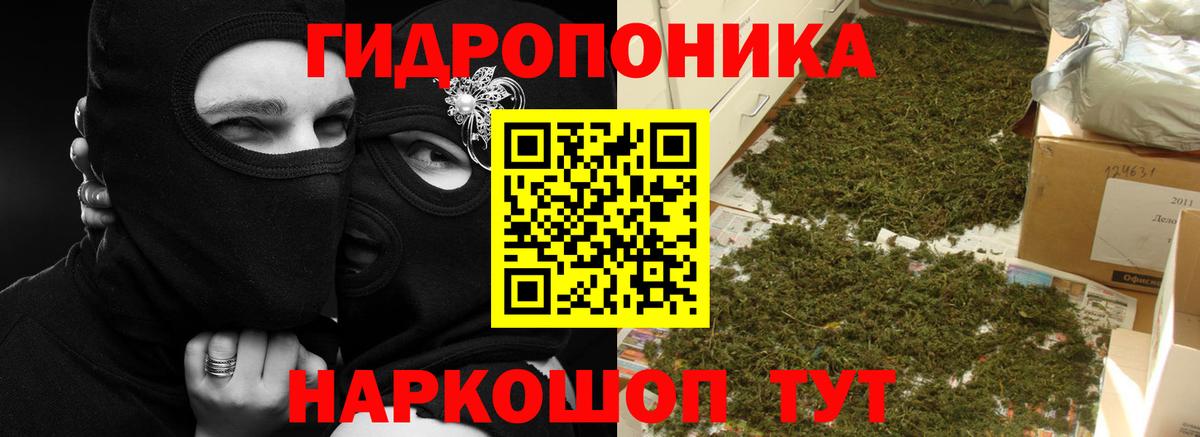 Тайшет  Шишки марихуана VHQ  Конопля OG Kush  Вход с VPN 